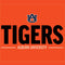 Auburn University Tigers Athletics Wii (Includes 1 Controller) Skin